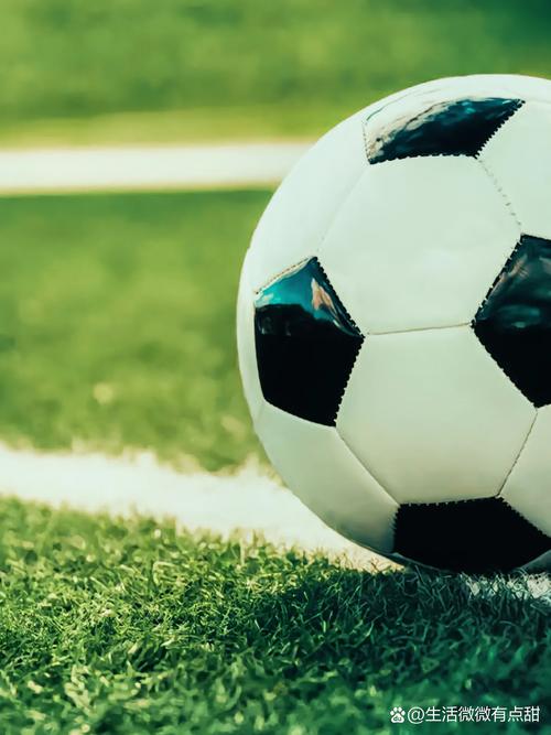 竞彩网官网入口最新联系方式